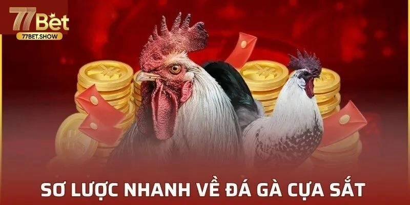 Đá Gà Cựa Sắt - Hướng Dẫn Tham Gia Cực Dễ Tại 77bet