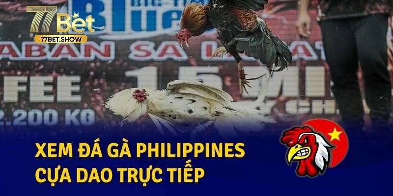 Thông tin giới thiệu chung về đá gà Philippines