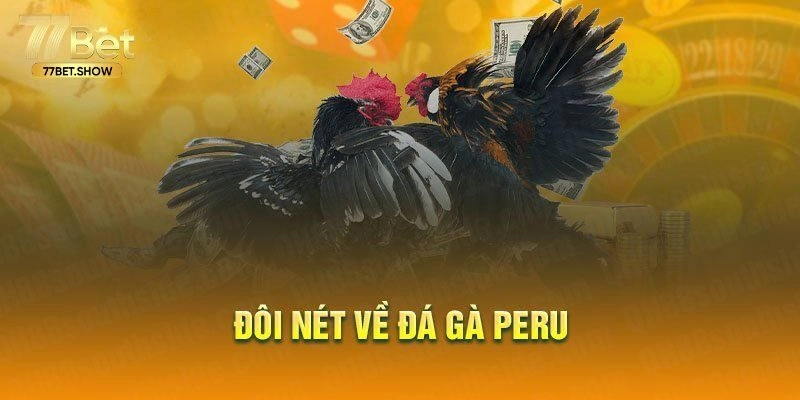 Đá Gà Peru - Luật Chơi Và Các Loại Kê Phổ Biến Tại 77bet